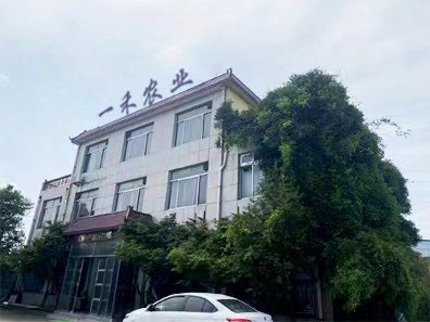 China Shandong Yihe Agricultural Technology Co., Ltd. Bedrijfsprofiel