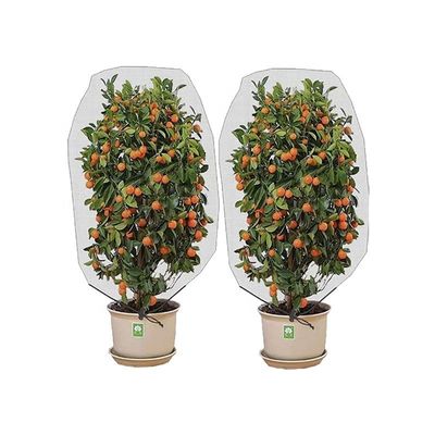 Landbouw HDPE Plastic Anti Insect Mesh Insect Proof Net voor dekking Fruit Tree Protection Mesh Bag Effectieve plaagbestrijding