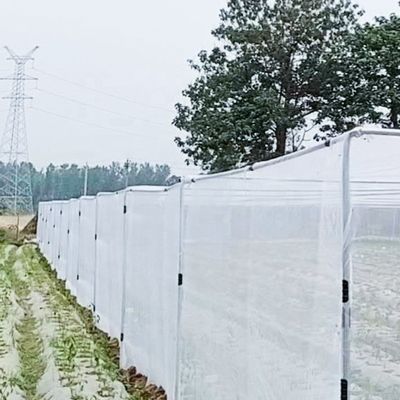Transparante insectenwerende netten 20x10 anti-luisnetten voor de landbouw en schaduw zeilen omheining netten in de bestrijding van plagen