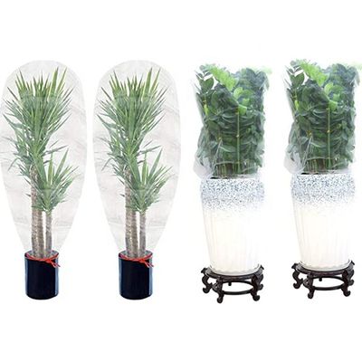 Plastic type HDPE insect Bird Bug Barrier Mesh Met trektouw voor het kweken van Fruit Tree Protection Cover Net Bag in Wit