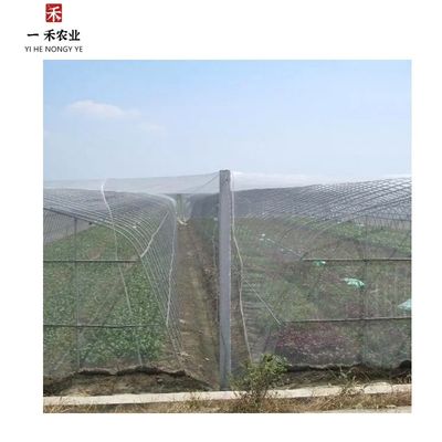 PE Landbouw Polyethyleen insectennet voor bomen en groentetuinen 20 Net Anti-insecten vouwnet
