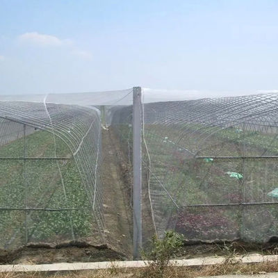 PE Landbouw Polyethyleen insectennet voor bomen en groentetuinen 20 Net Anti-insecten vouwnet