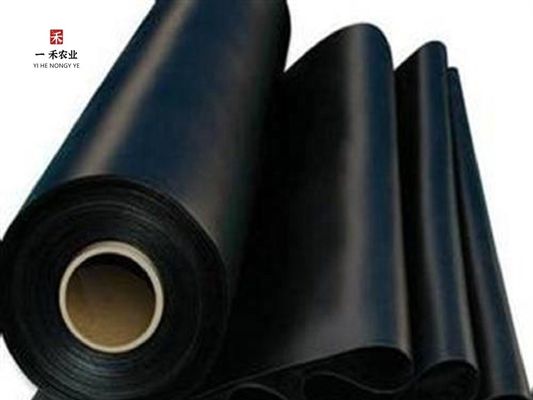 HDPE-geomembrane-liner voor mijnbouw waterreservoir dam vis vijver garnalenboerderij