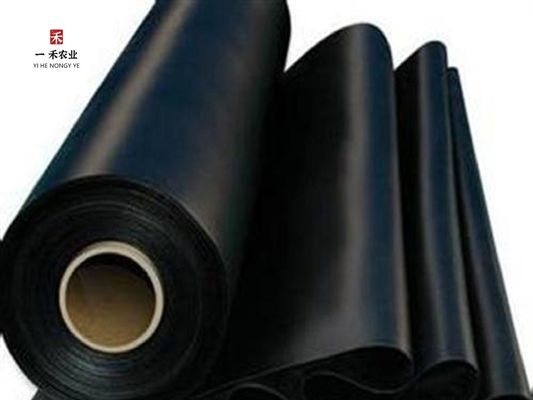 HDPE-geomembrane-liner voor mijnbouw waterreservoir dam vis vijver garnalenboerderij