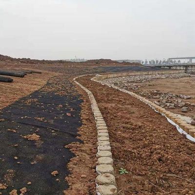 Geassembleerde driedimensionale hellingsgrasbescherming voor permanent water tegen erosie