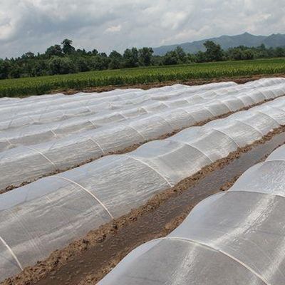 Anti-UV-insectennetten uit HDPE: ideale oplossing voor de bescherming van boomkwekers