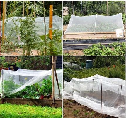Anti-UV-insectennetten uit HDPE: ideale oplossing voor de bescherming van boomkwekers