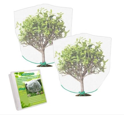 2.5M*10M Greenhouse Insect Barrier Bird Net Solid Vegetable Gardens Insect Netting for Farm Protection
