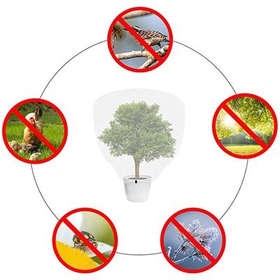 2.5M*10M Greenhouse Insect Barrier Bird Net Solid Vegetable Gardens Insect Netting for Farm Protection