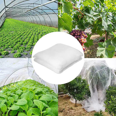 2.5M*10M Greenhouse Insect Barrier Bird Net Solid Vegetable Gardens Insect Netting for Farm Protection
