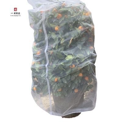 Duurzaam 40 60 80 mesh Anti-insect screen net Kasten Agri Tomato Protect Insect proof mesh Transparante Anti-Aphid net