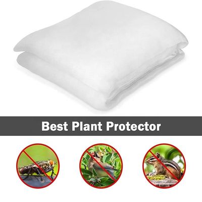 Duurzaam 40 60 80 mesh Anti-insect screen net Kasten Agri Tomato Protect Insect proof mesh Transparante Anti-Aphid net