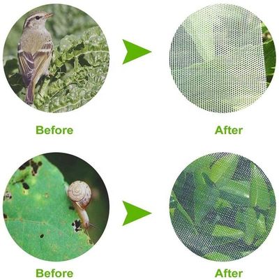 Duurzaam 40 60 80 mesh Anti-insect screen net Kasten Agri Tomato Protect Insect proof mesh Transparante Anti-Aphid net