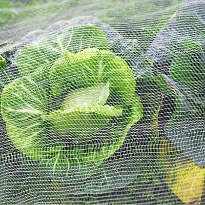 TRAPS Plastic tuinnet voor planten Plaagbarrière Vliegbuig Vogel Insektvrije schermen Beschermen Fruit Bloemen Groenten