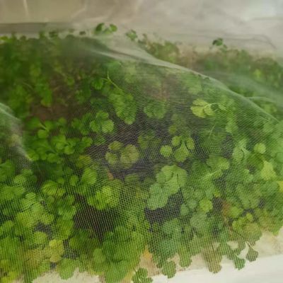 TRAPS Plastic tuinnet voor planten Plaagbarrière Vliegbuig Vogel Insektvrije schermen Beschermen Fruit Bloemen Groenten