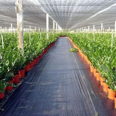 Beschermende PP-geweven membraan PE-grondbedekking Mesh Weed Mat Roll Anti Grass Weed Mulch Film