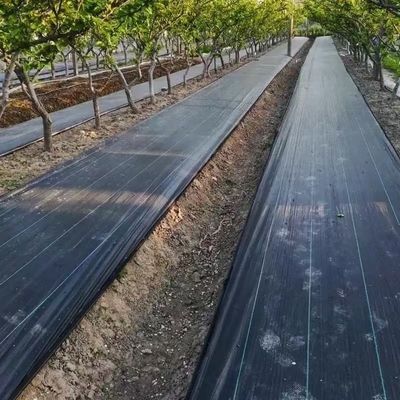 Beschermende PP-geweven membraan PE-grondbedekking Mesh Weed Mat Roll Anti Grass Weed Mulch Film