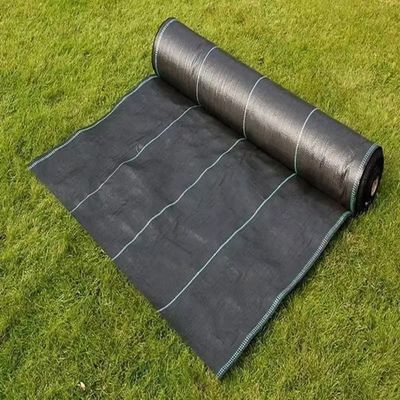 Beschermende PP-geweven membraan PE-grondbedekking Mesh Weed Mat Roll Anti Grass Weed Mulch Film