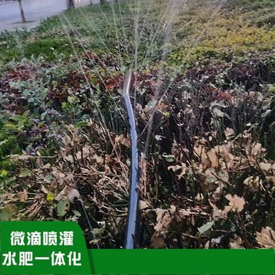 20mm-75mm regenpijp Tuinboerderij watergietregentape micro spray slang Duurzaam plastic materiaal voor tuinwatergieten
