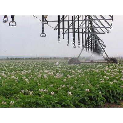 Landbouw U Gemeenschappelijke aandrijflijn koppelaar voor centrifugal irrigatie machineonderdelen in bouwmaterialen winkels