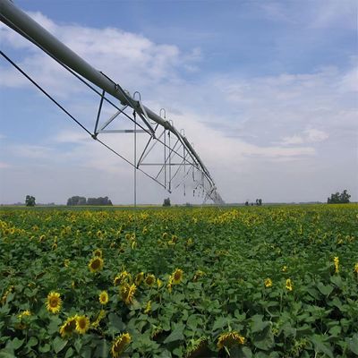 Maïs direct leveren Grootschalige landbouwcentrum Pivot irrigatie machine systemen met 168 cm diameter en Ha in restaurant