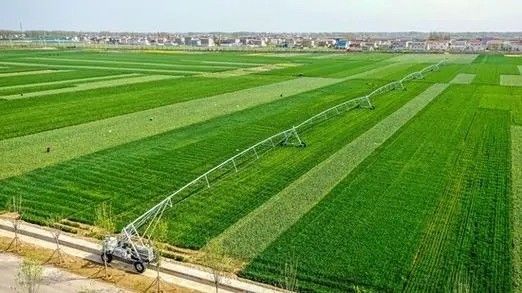Precieze irrigatie makkelijke zijdelingse verplaatsingsirrigator voor water-smarte landbouw 3800 KG