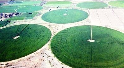 Geavanceerde centrale pivotboerderijen voor geavanceerde irrigatie met afstandsbewaking