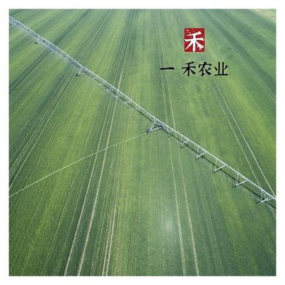 Grootschalige boerderij 1-150ha/10-500acre Beweegbaar landbouwbewateringssysteem met metalen rubber-pivot draagbare kernlagers
