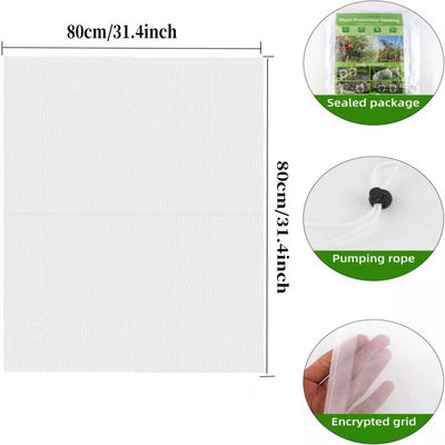 6 * 9 inch Nylon mesh netten zak voor tuin planten en fruit bescherming Zeg vaarwel aan schadelijke pesticiden