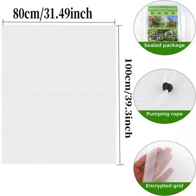 6 * 9 inch Nylon mesh netten zak voor tuin planten en fruit bescherming Zeg vaarwel aan schadelijke pesticiden
