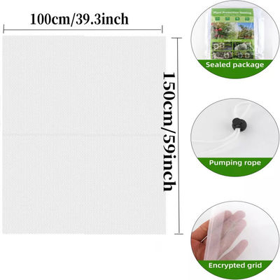 6 * 9 inch Nylon mesh netten zak voor tuin planten en fruit bescherming Zeg vaarwel aan schadelijke pesticiden