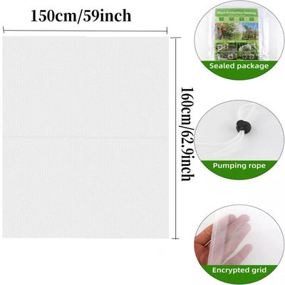 6 * 9 inch Nylon mesh netten zak voor tuin planten en fruit bescherming Zeg vaarwel aan schadelijke pesticiden