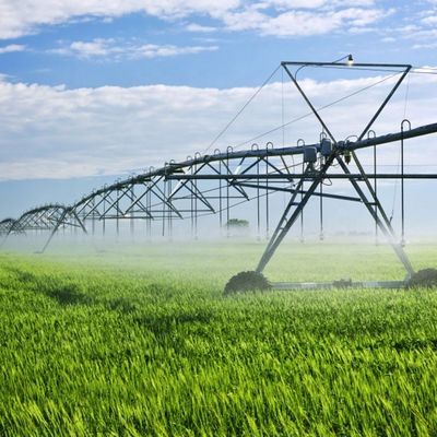 Verhoog de productiviteit van uw boerderij met Metal Center Pivot Lateral Linear Move Side Roll Agriculture Irrigation System