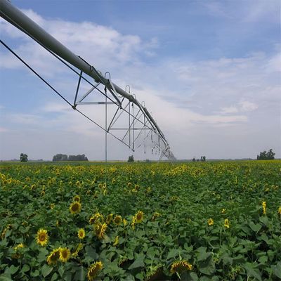 Verhoog de productiviteit van uw boerderij met Metal Center Pivot Lateral Linear Move Side Roll Agriculture Irrigation System