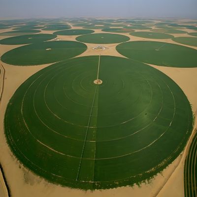 Grootschalige landbouw Lineair laterale irrigatiesysteem voor productie-installaties