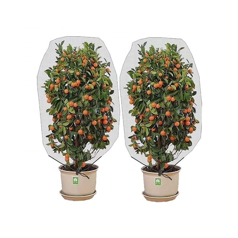 Landbouw HDPE Plastic Anti Insect Mesh Insect Proof Net voor dekking Fruit Tree Protection Mesh Bag Effectieve plaagbestrijding