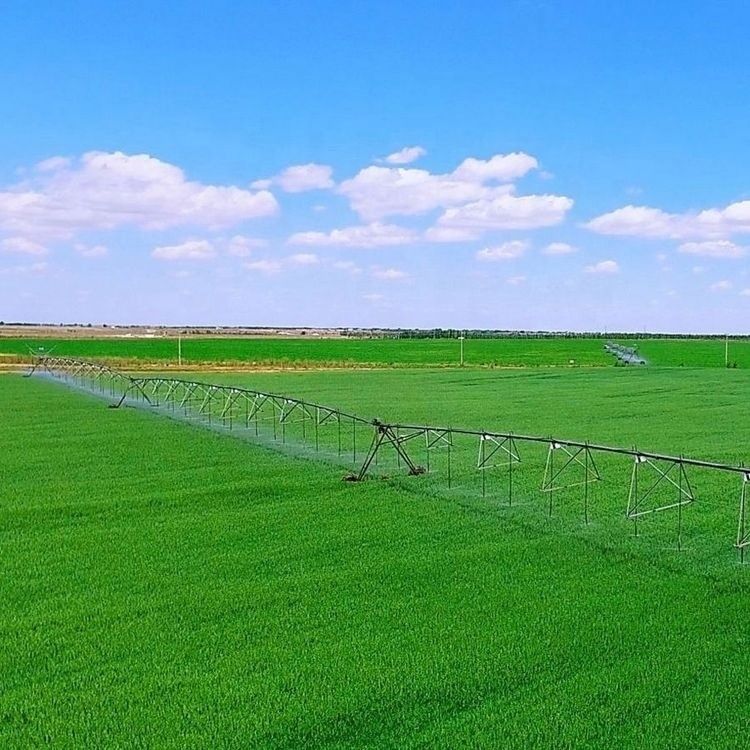 168 cm Diameter Landbouwmachines Irrigatiesysteem Centrum Pivot Sprinkler voor landbouwbedrijven Toepassing